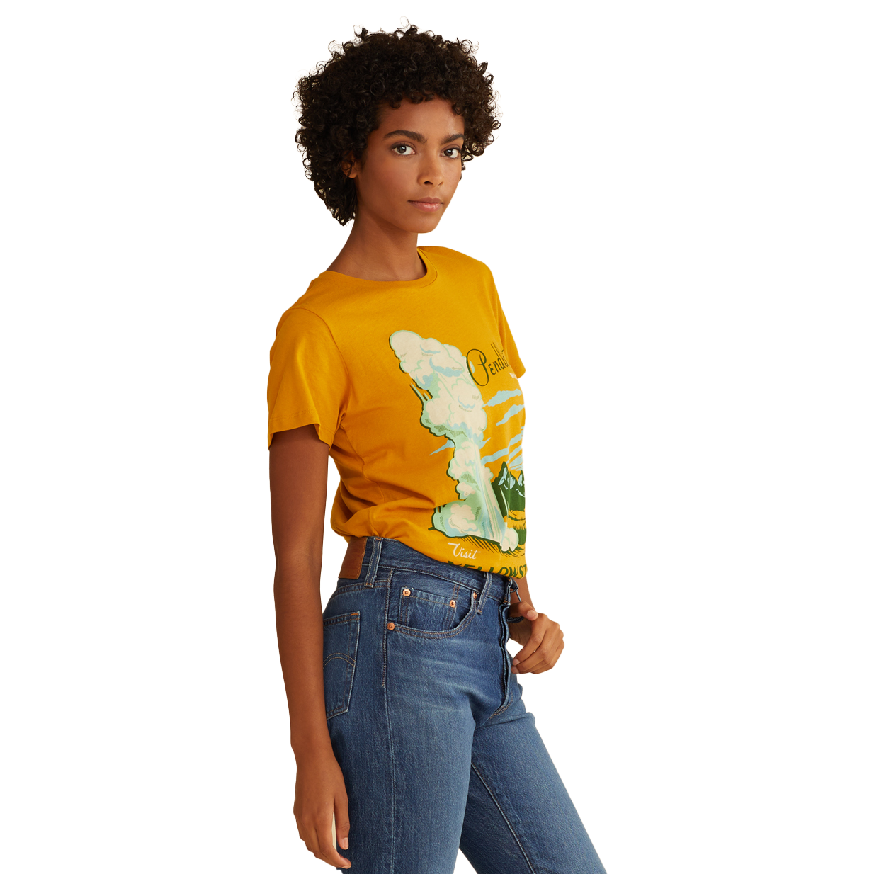 Pendleton Women's Heritage Yellowstone Park Tee - Gold/Green