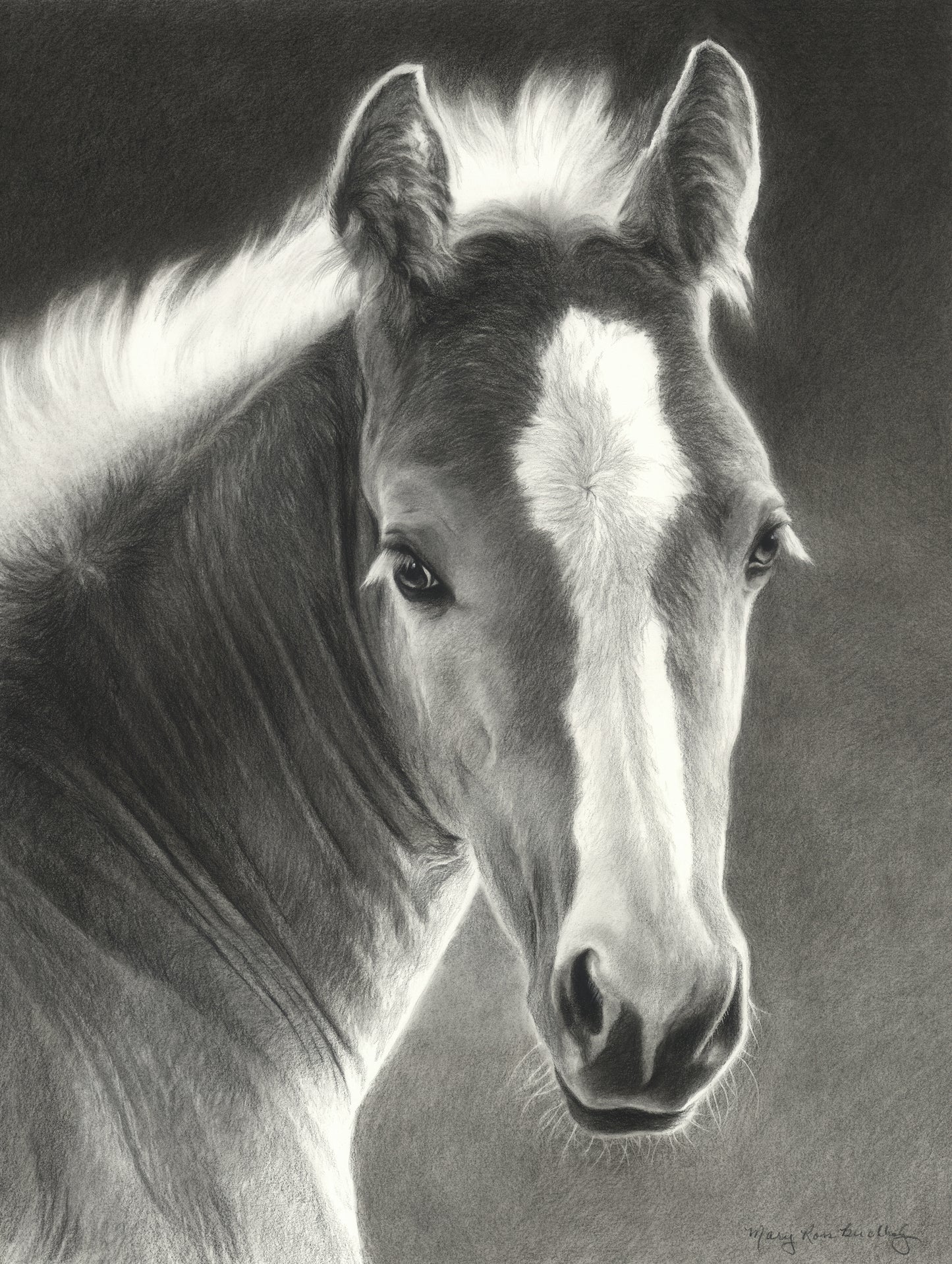 She's a Looker - #25