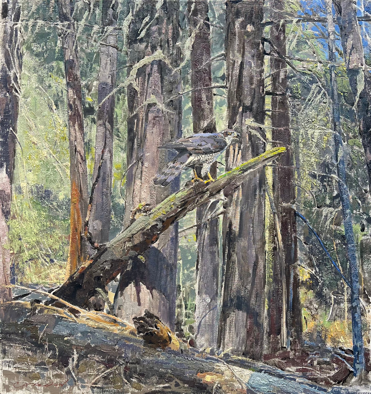 "Stealth Hunter of the Forest" by George Carlson