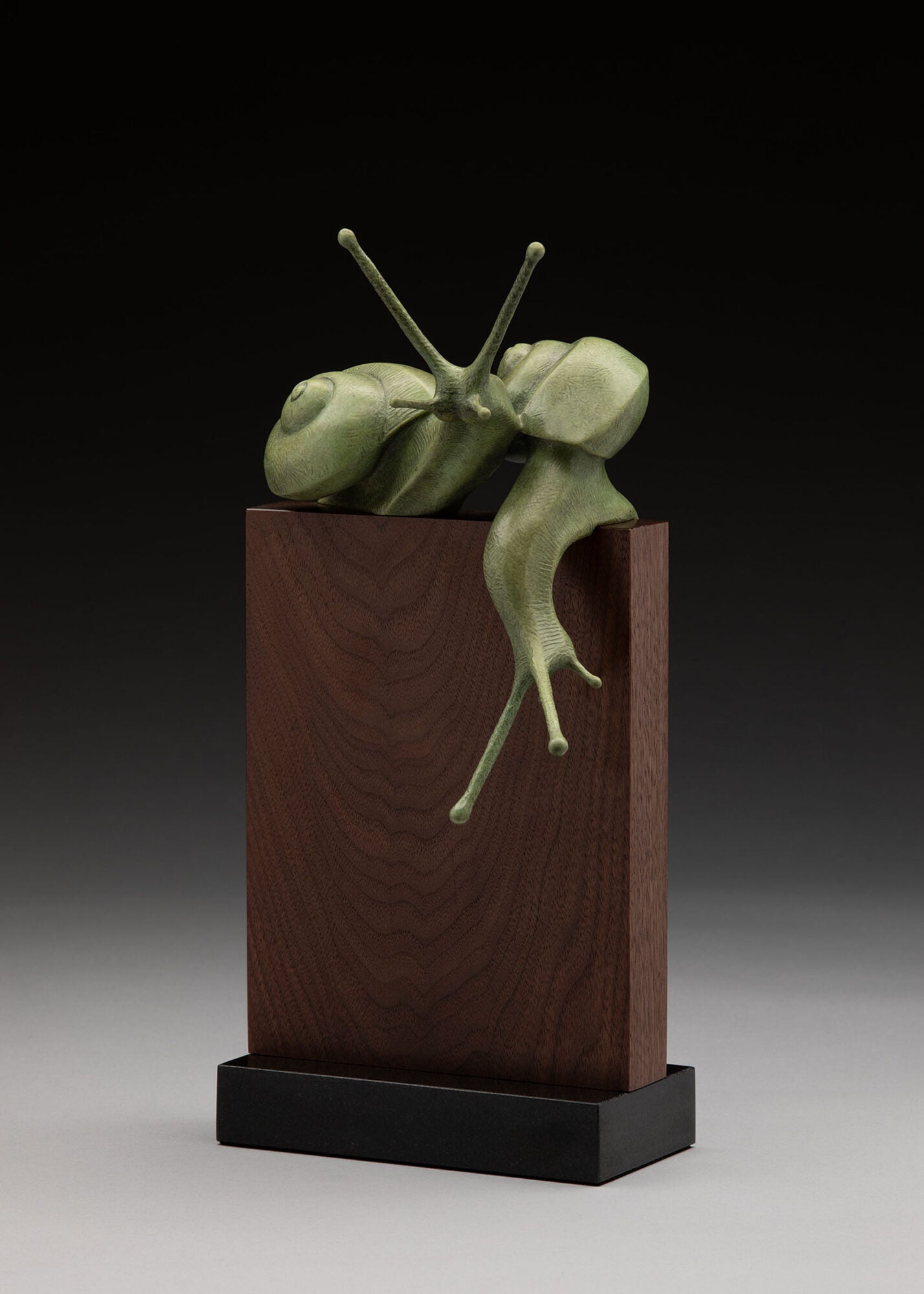 A Snail's Pace by Tony Hochstetler - #113