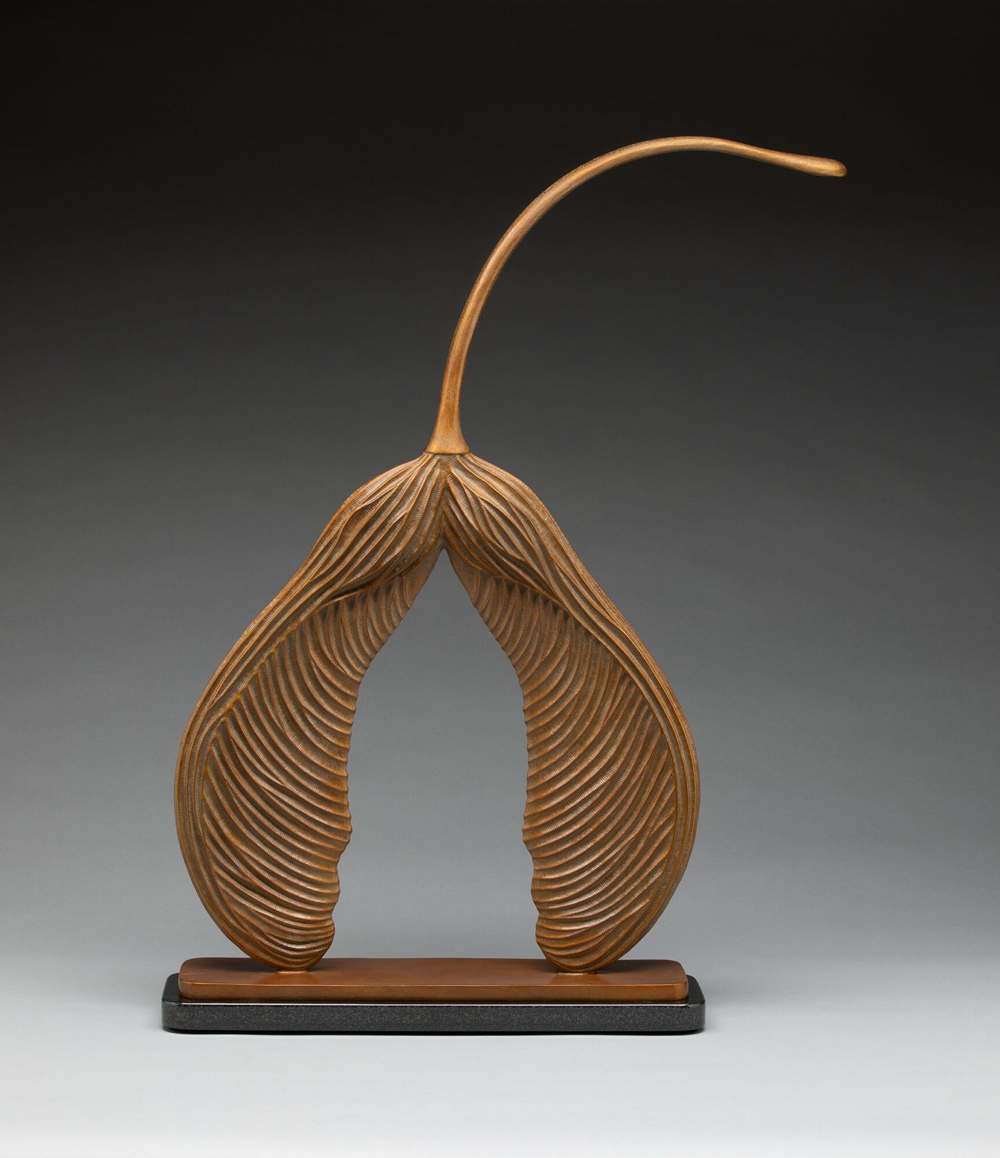 Large Maple Seed by Tony Hochstetler - #110