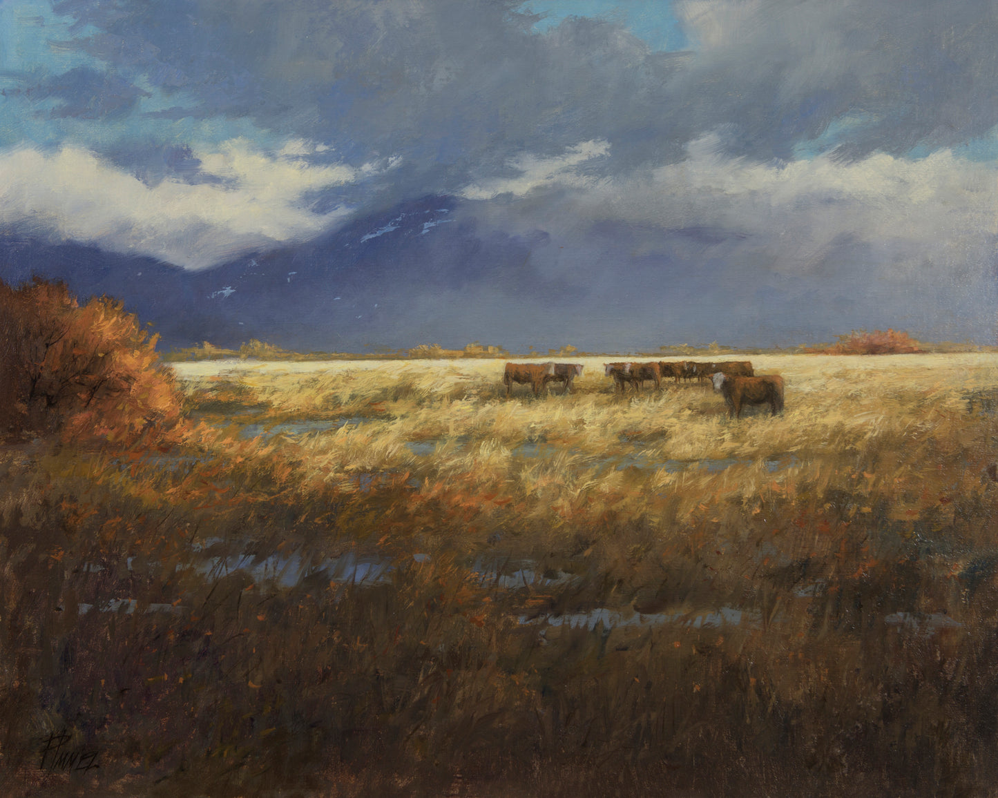 Hanging Out in Hondo - #100