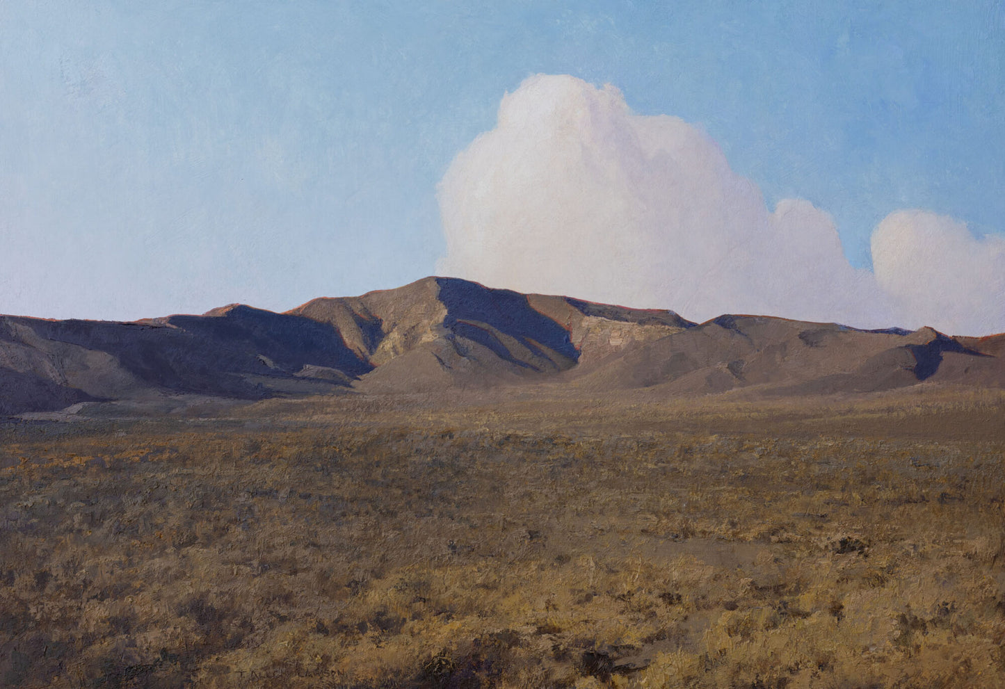 A Little Hope by T. Allen Lawson - #146