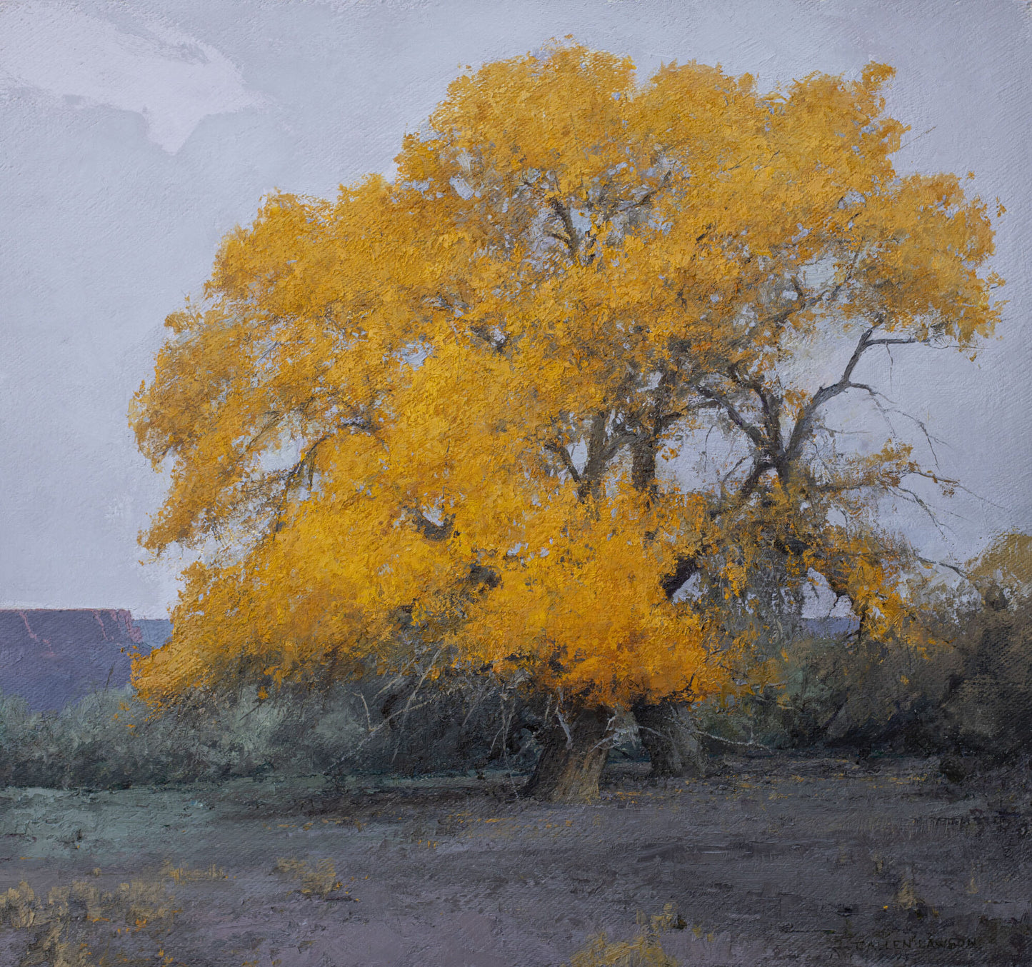 Desert Gold by T. Allen Lawson - #145