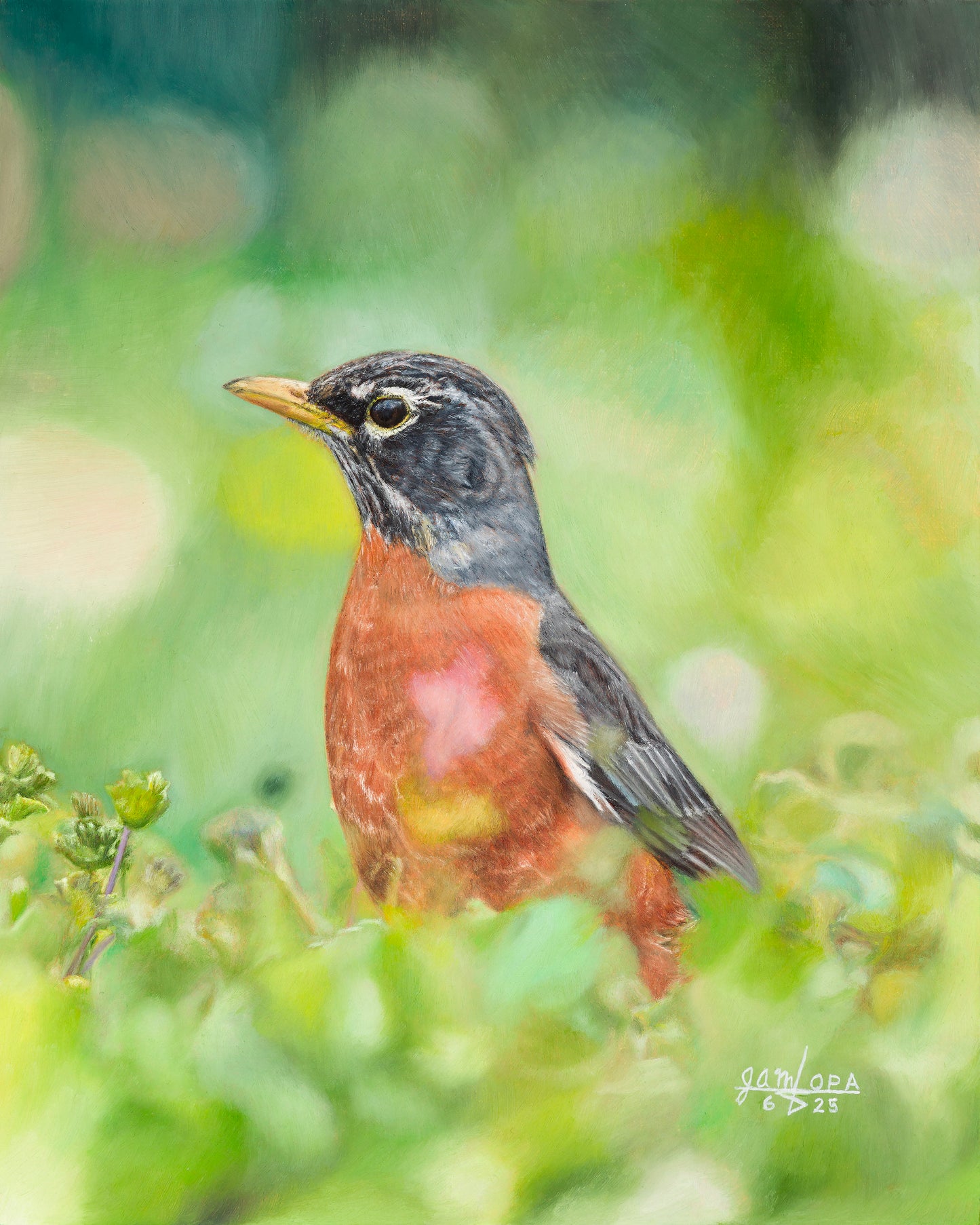 Robin in Spring - #133