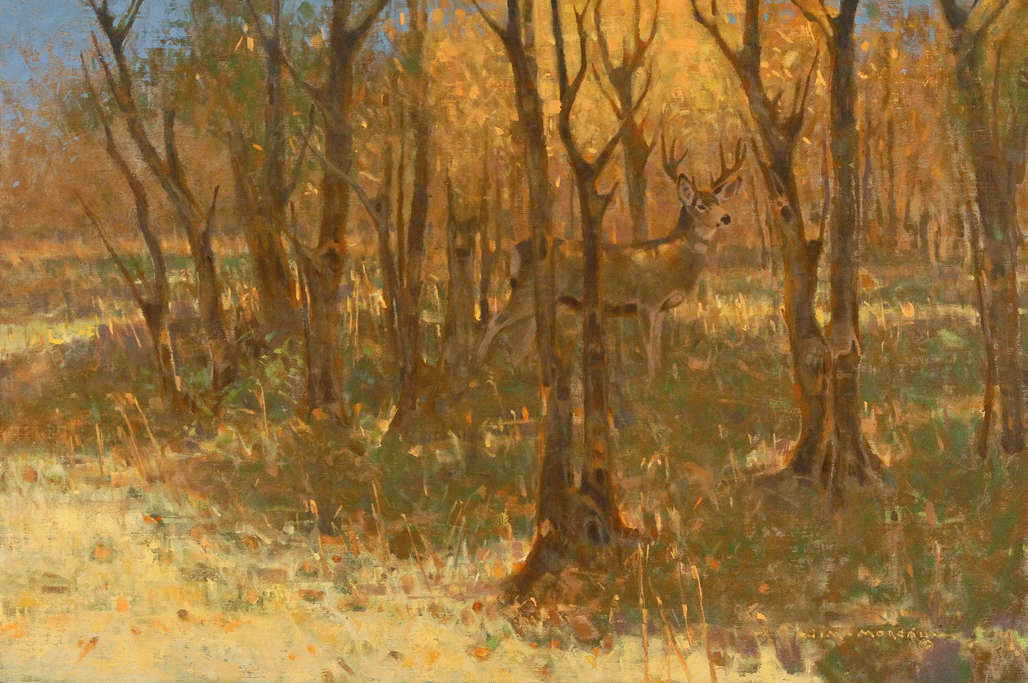 "Dappled" by James Morgan
