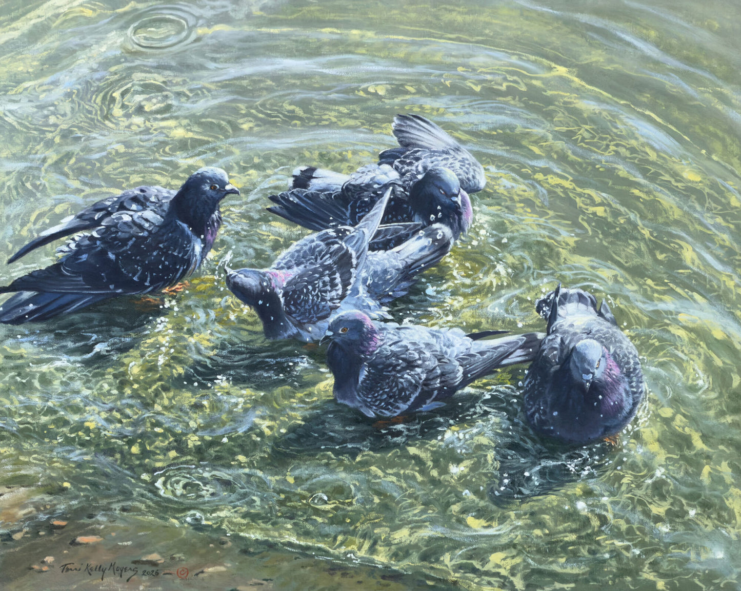 Pigeons in the Park by Terri Kelly Moyers - #195