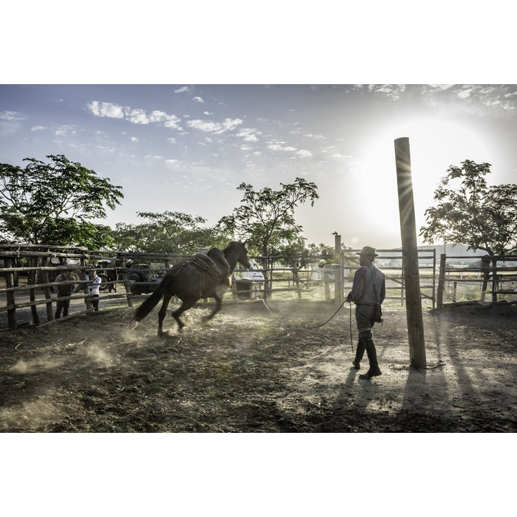 Italy's Legendary Cowboys of the Maremma by Gabrielle Saveri