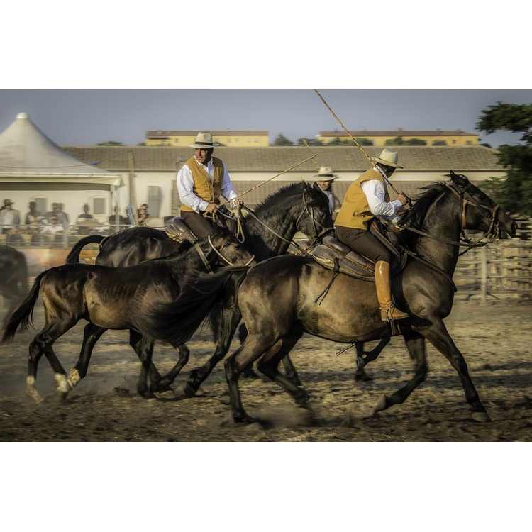 Italy's Legendary Cowboys of the Maremma by Gabrielle Saveri