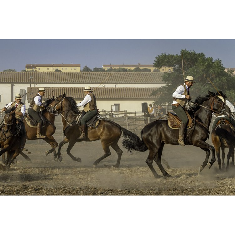 Italy's Legendary Cowboys of the Maremma by Gabrielle Saveri