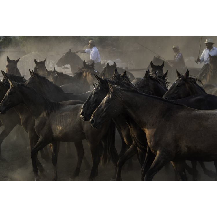 Italy's Legendary Cowboys of the Maremma by Gabrielle Saveri