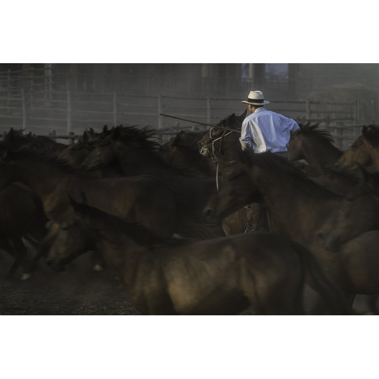 Italy's Legendary Cowboys of the Maremma by Gabrielle Saveri