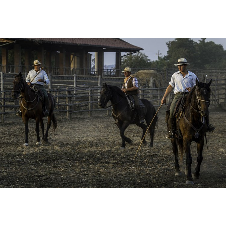 Italy's Legendary Cowboys of the Maremma by Gabrielle Saveri