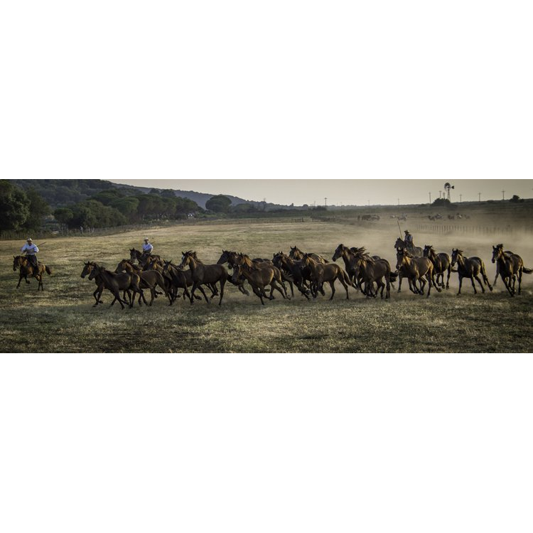 Italy's Legendary Cowboys of the Maremma by Gabrielle Saveri