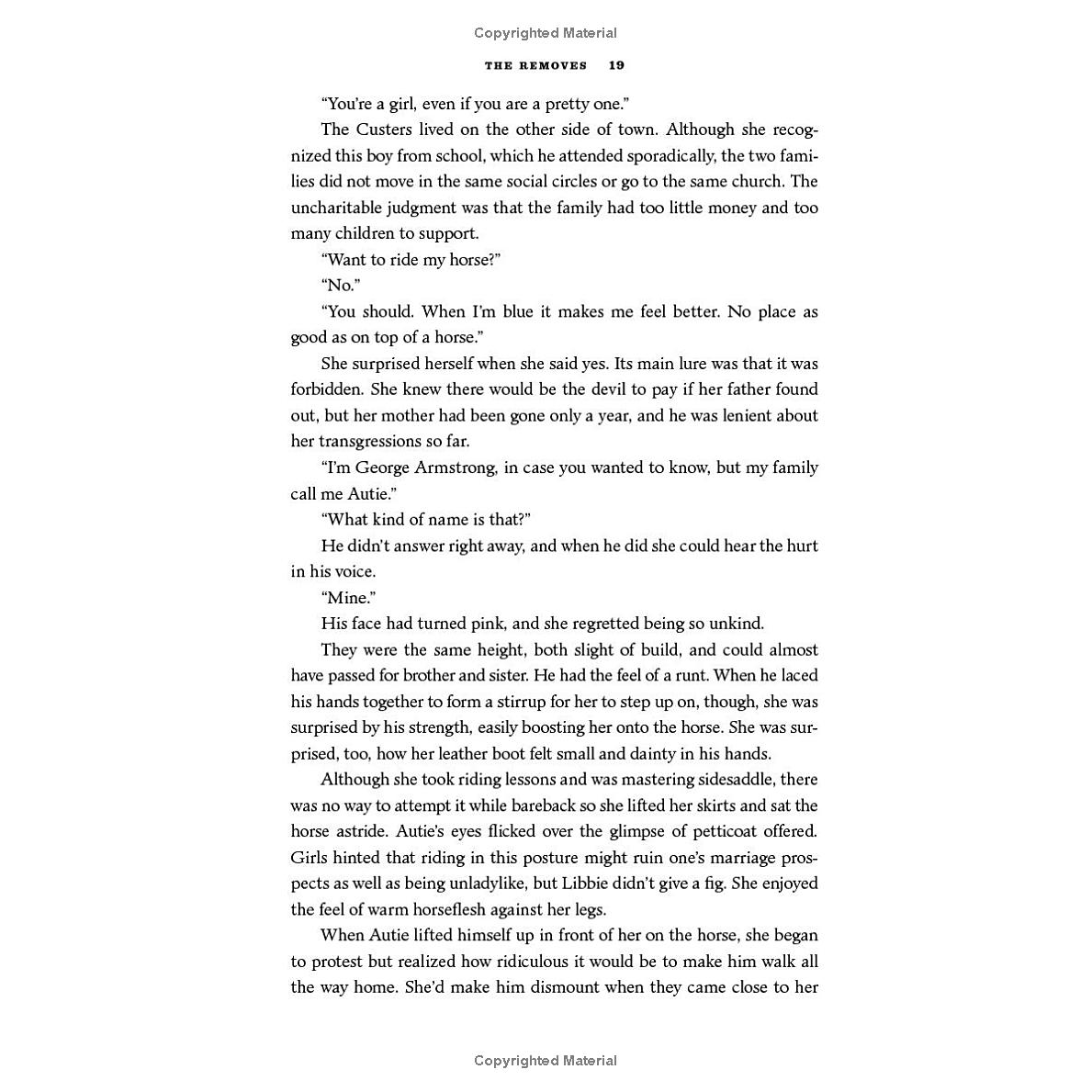 The Removes: A Novel by Tatjana Soli