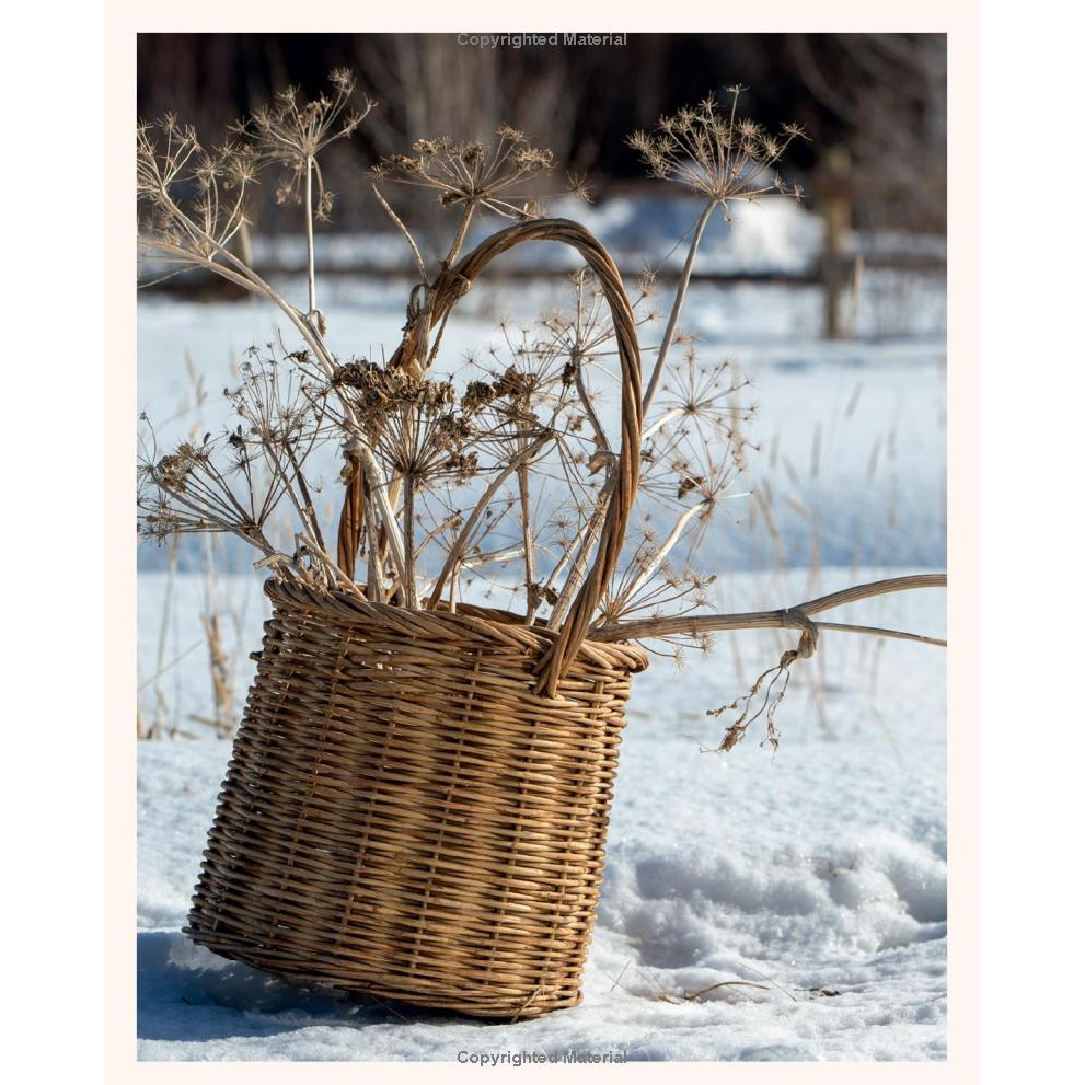 Alpenglow: Outdoor Celebrations for Every Season by Hillary Munro