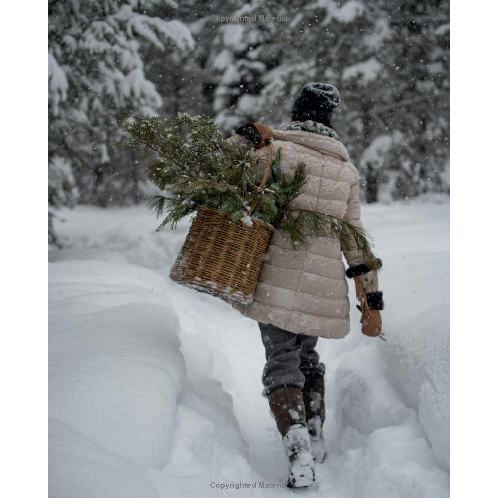 Alpenglow: Outdoor Celebrations for Every Season by Hillary Munro