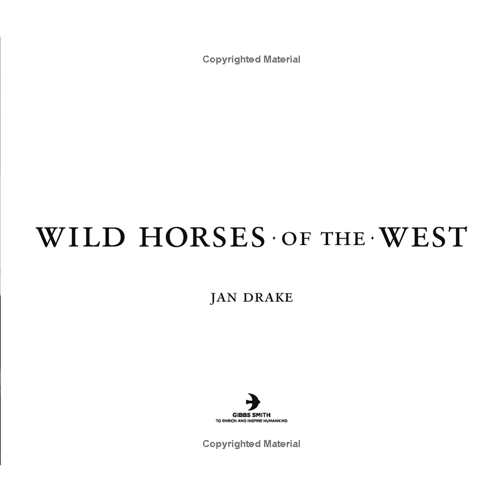 Wild Horses of the West by Jan Drake