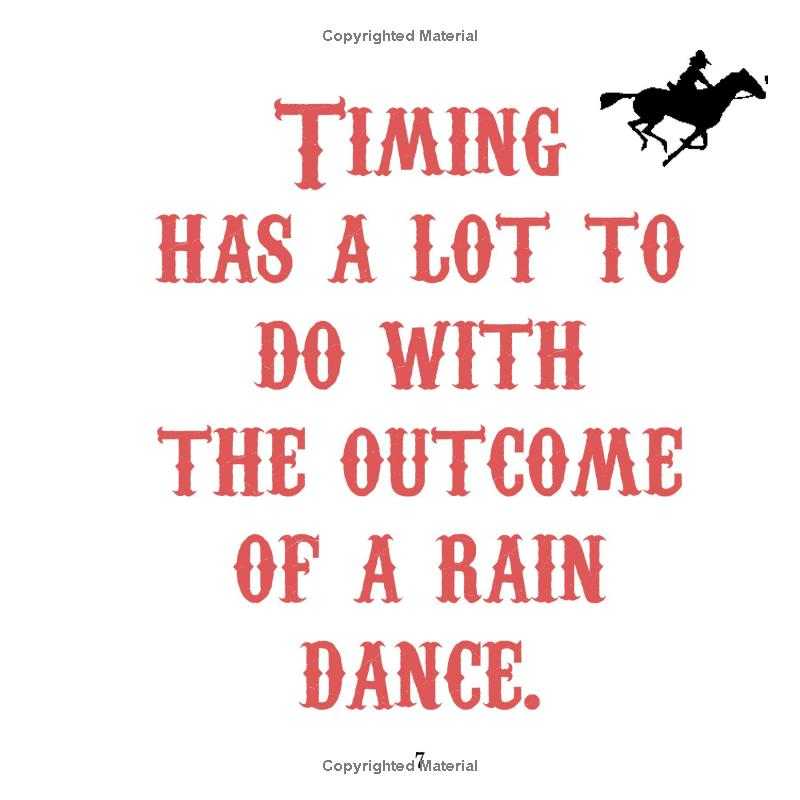 A Cowboy's Guide to Life by Texas Bix Bender
