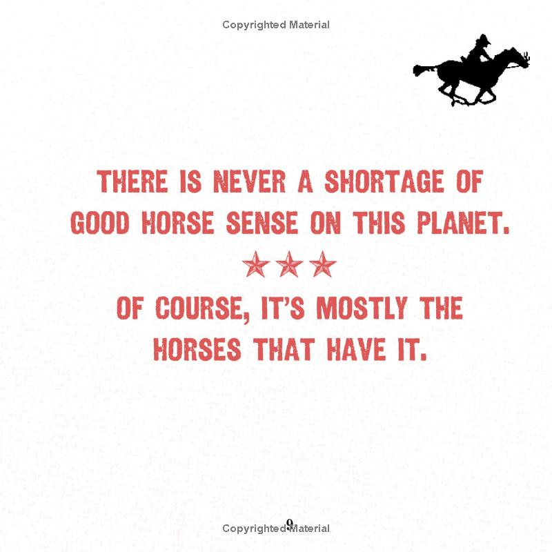 A Cowboy's Guide to Life by Texas Bix Bender