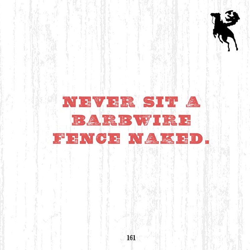 A Cowboy's Guide to Life by Texas Bix Bender
