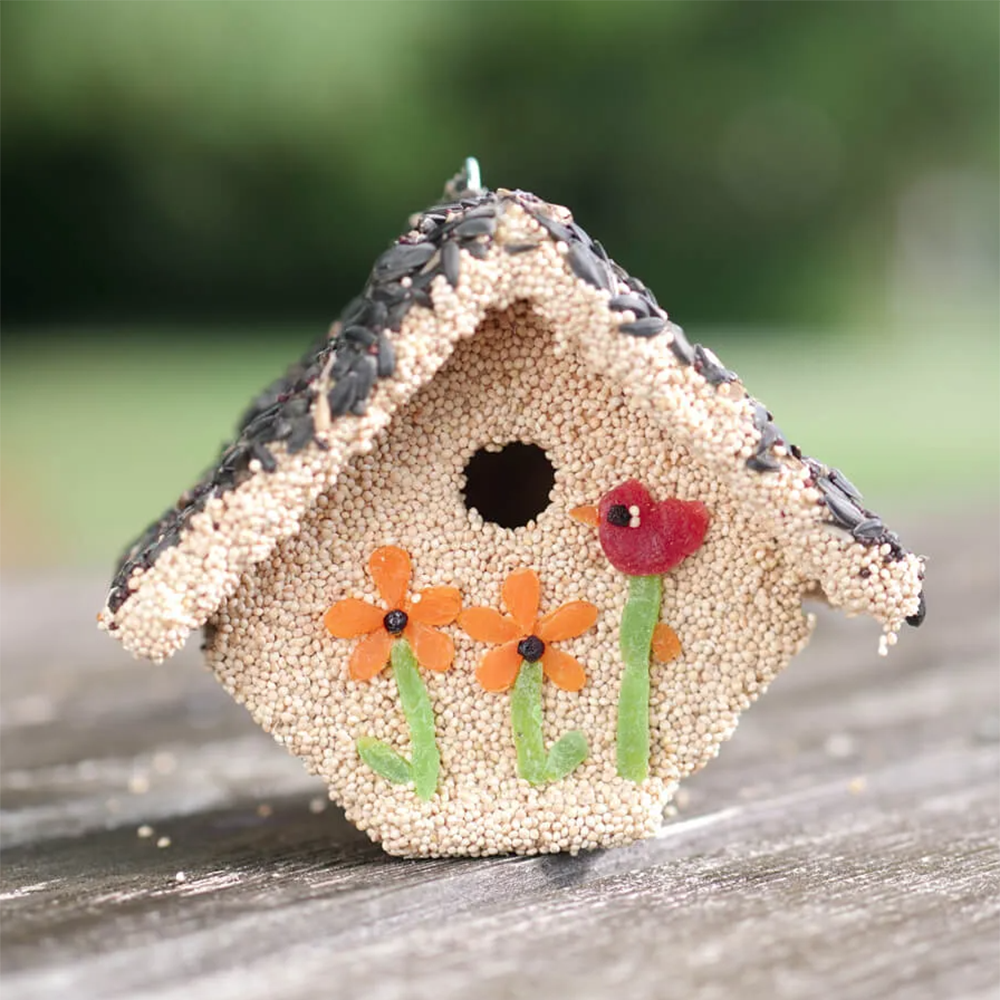 Spring Fruit Casita Bird House