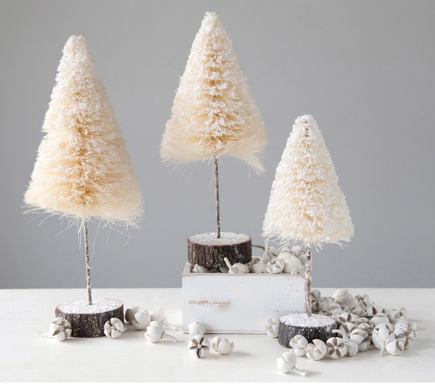 Cream Bottle Brush Tree on Wood Base