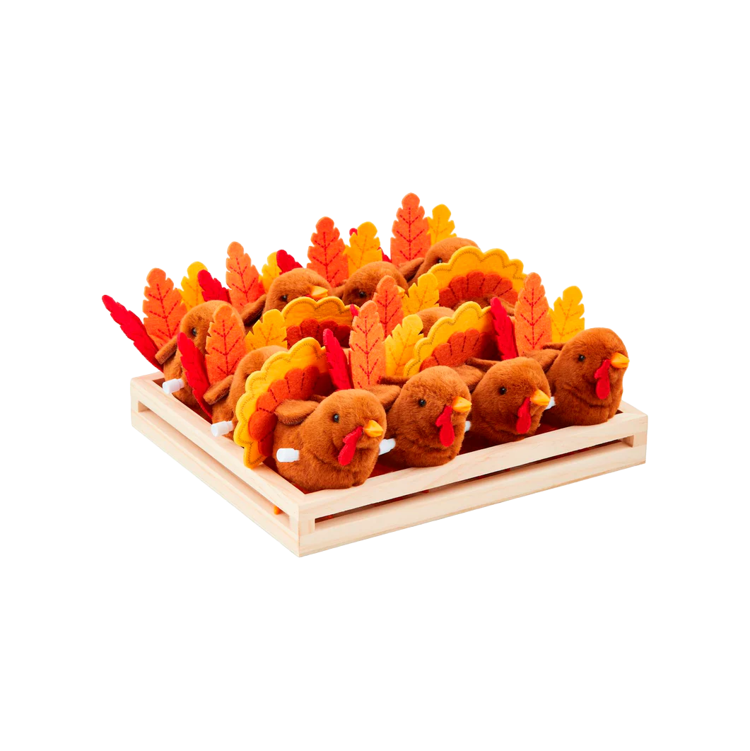 Wind-Up Turkey Toy