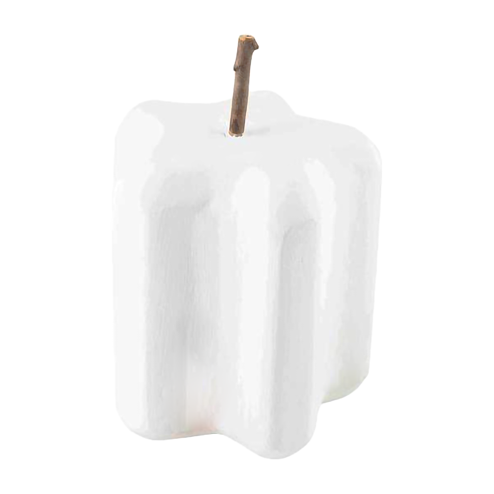 White Paulownia Pumpkin