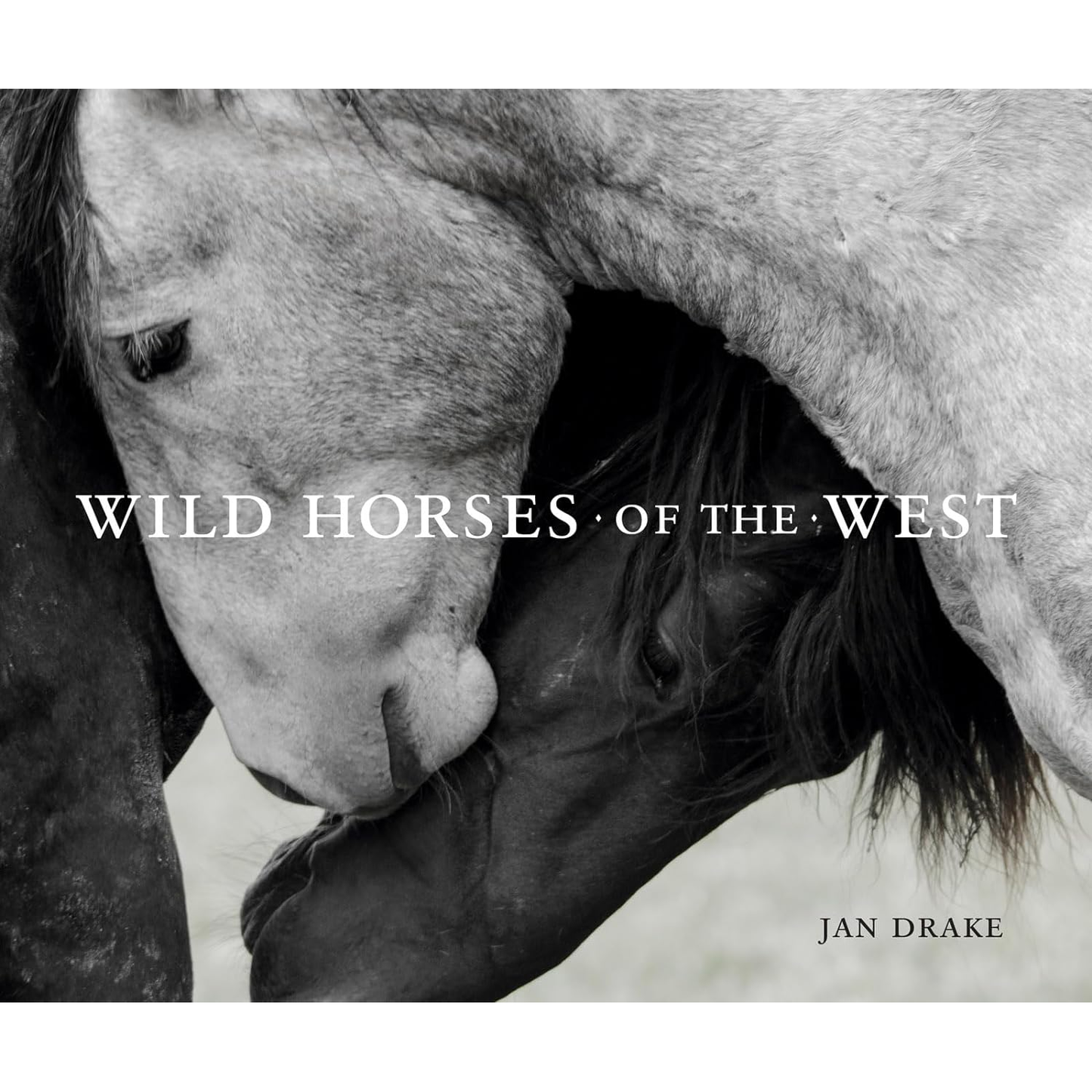 Wild Horses of the West by Jan Drake