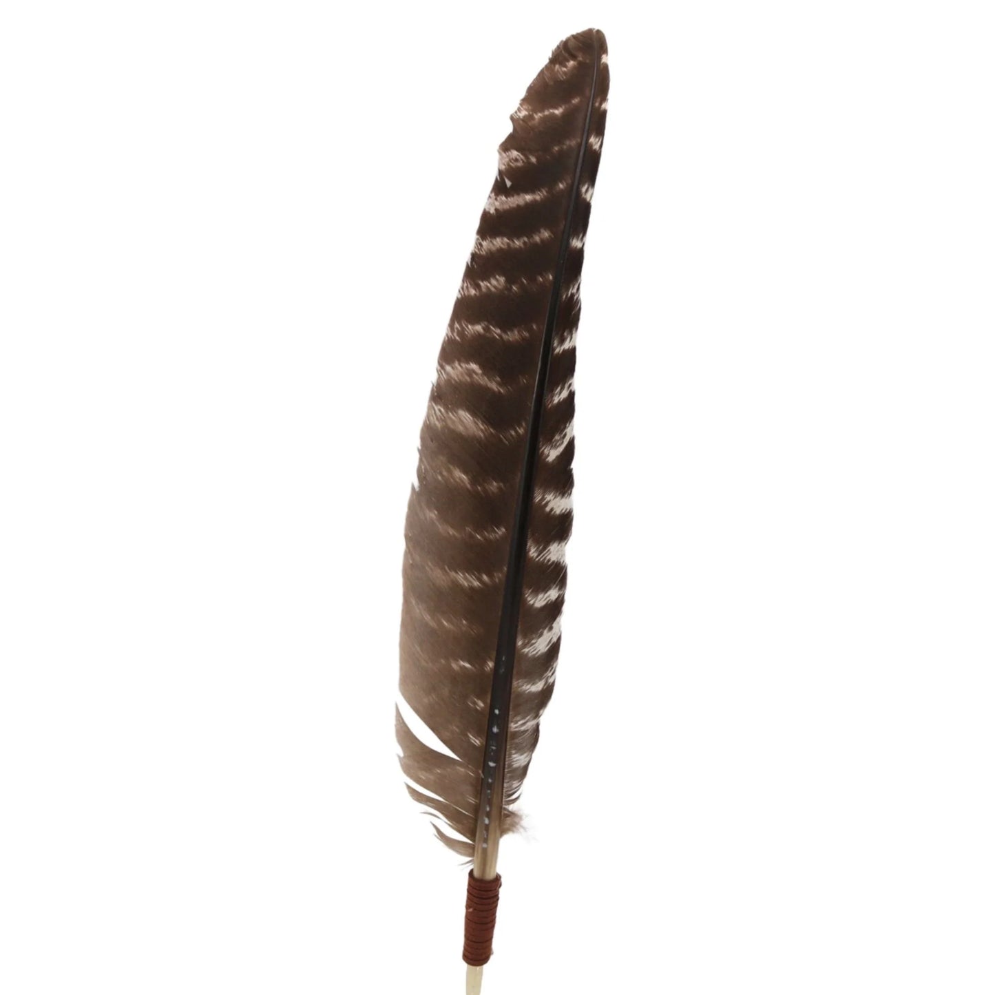 The Goliad Turkey Feather Hat Accent