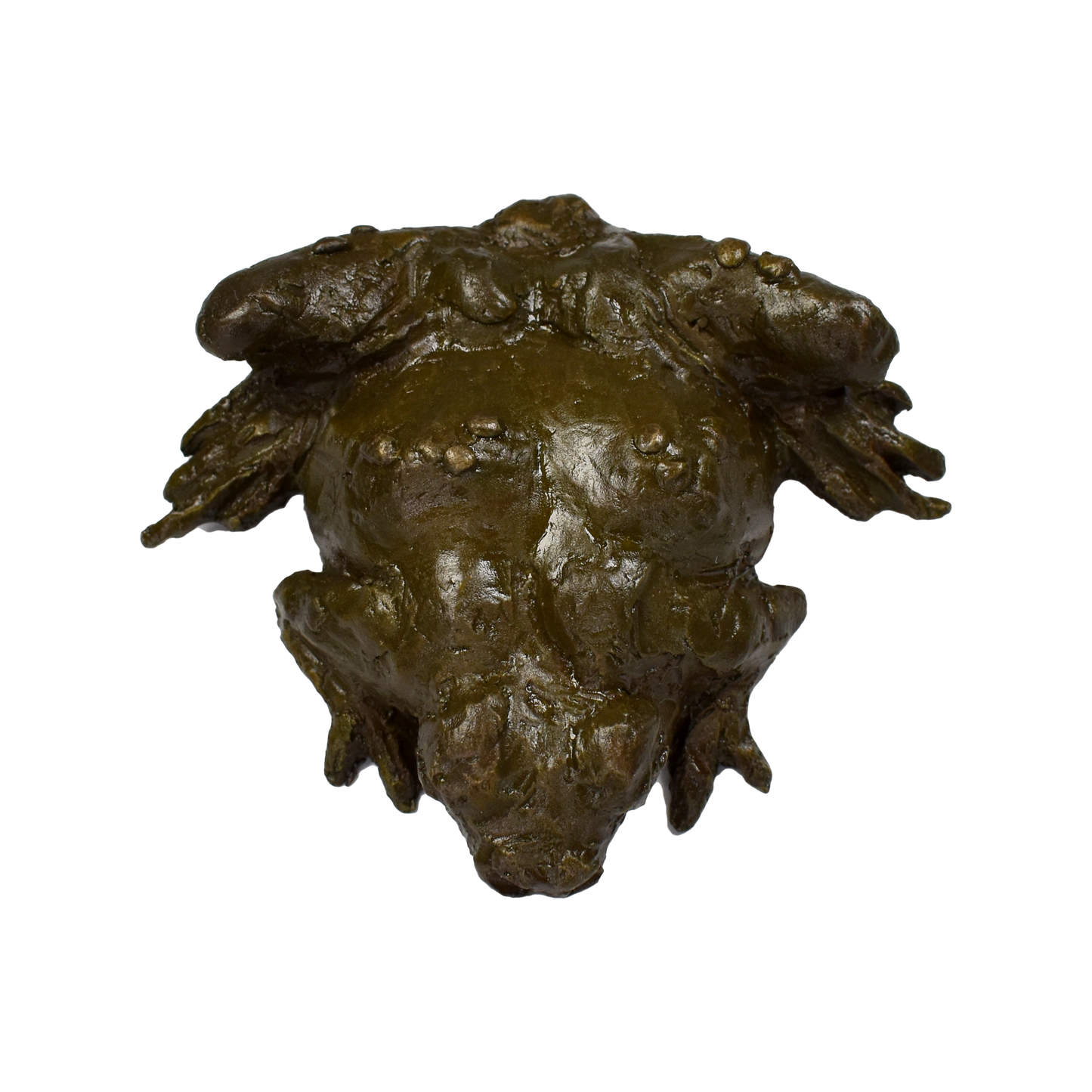 2021 Prix de West Collectors' Bolo: Great Plains Toad by Dan Ostermiller