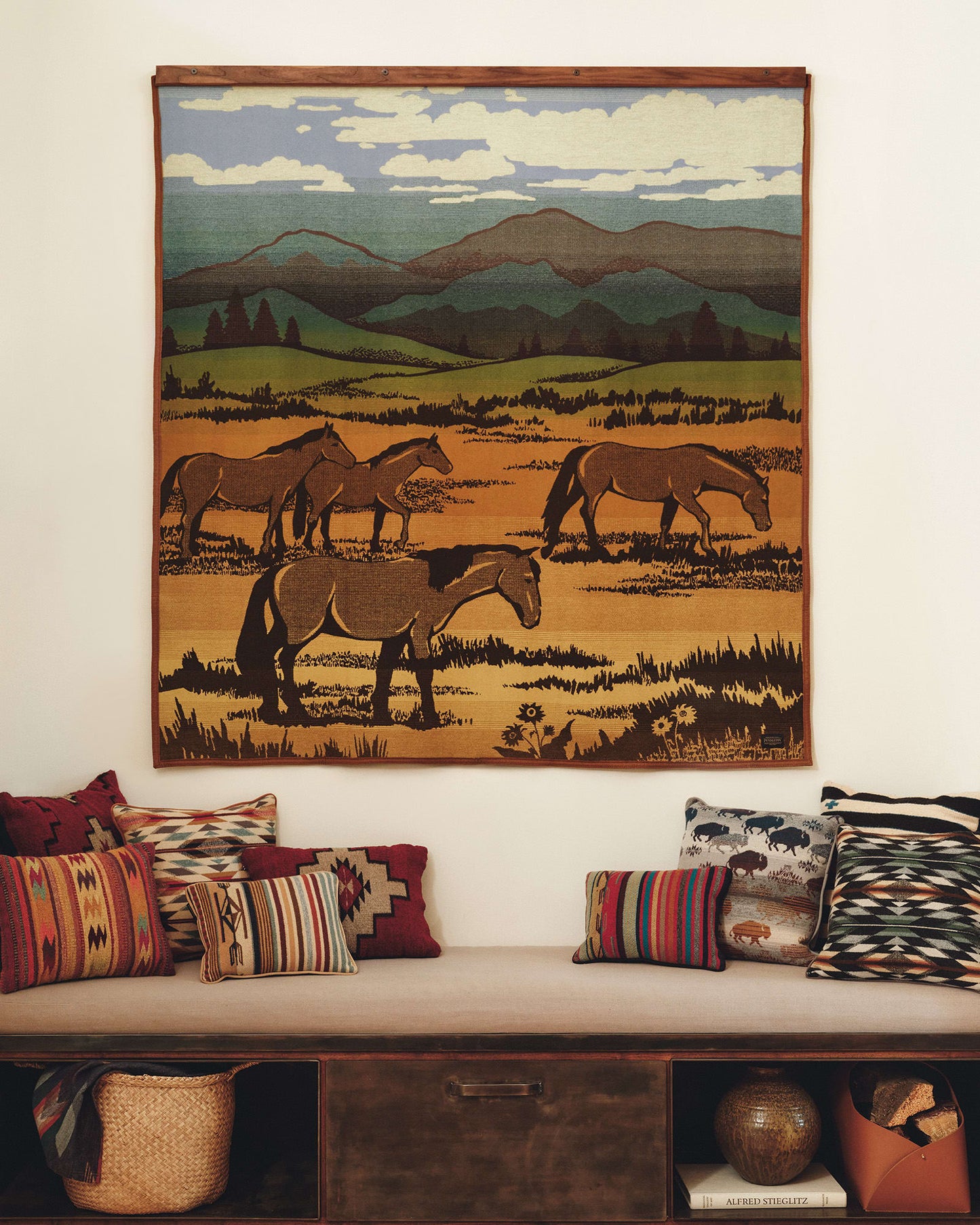 Pendleton Shadow Mountain Blanket