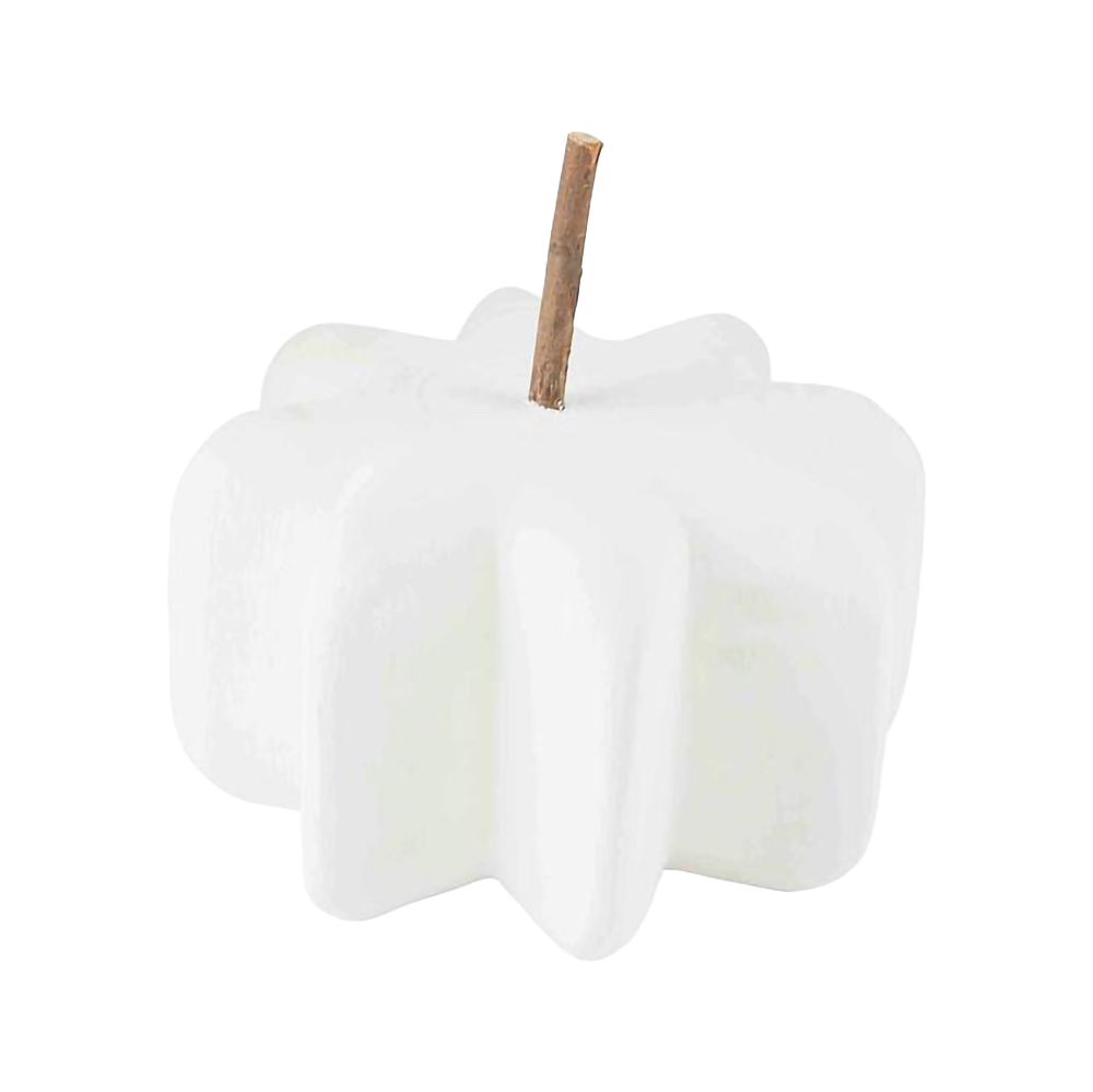 White Paulownia Pumpkin