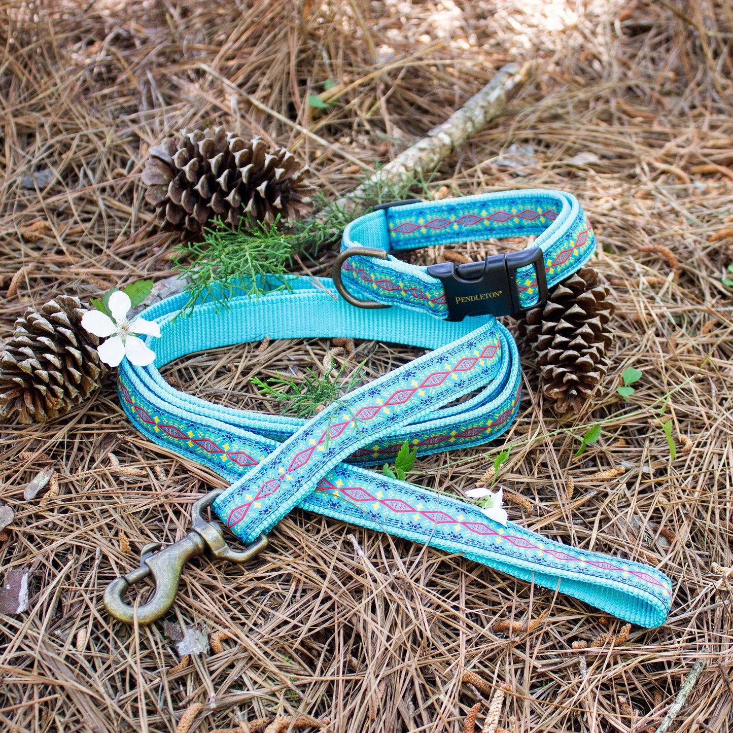 Pendleton Pet Leash - Diamond River Turquoise