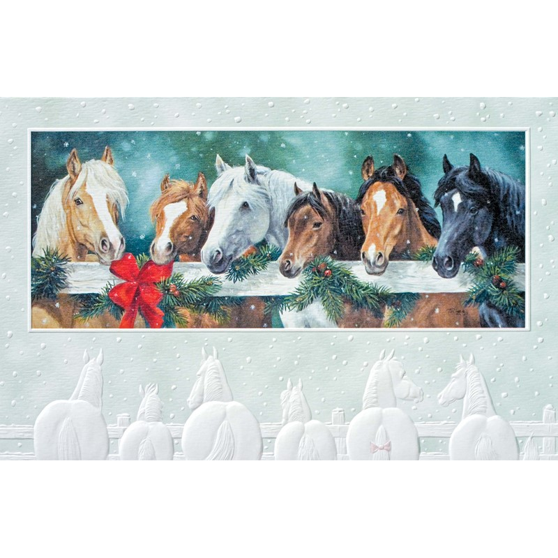 Stable Buddies Christmas Cards - Box of 16