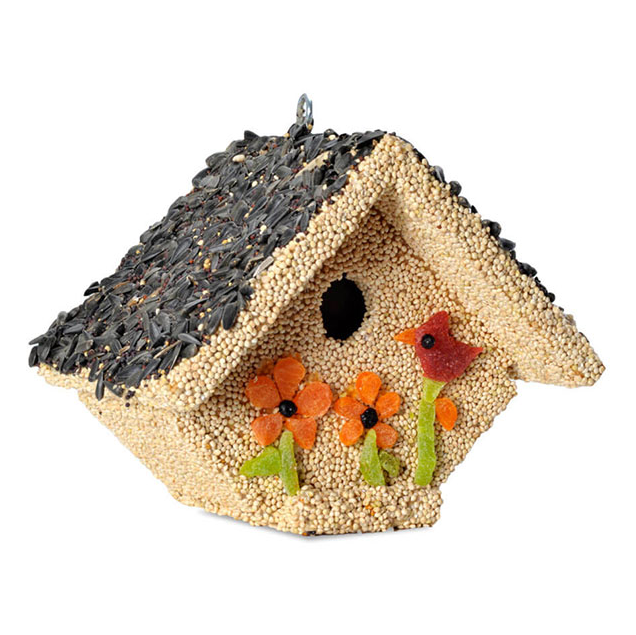 Spring Fruit Casita Bird House