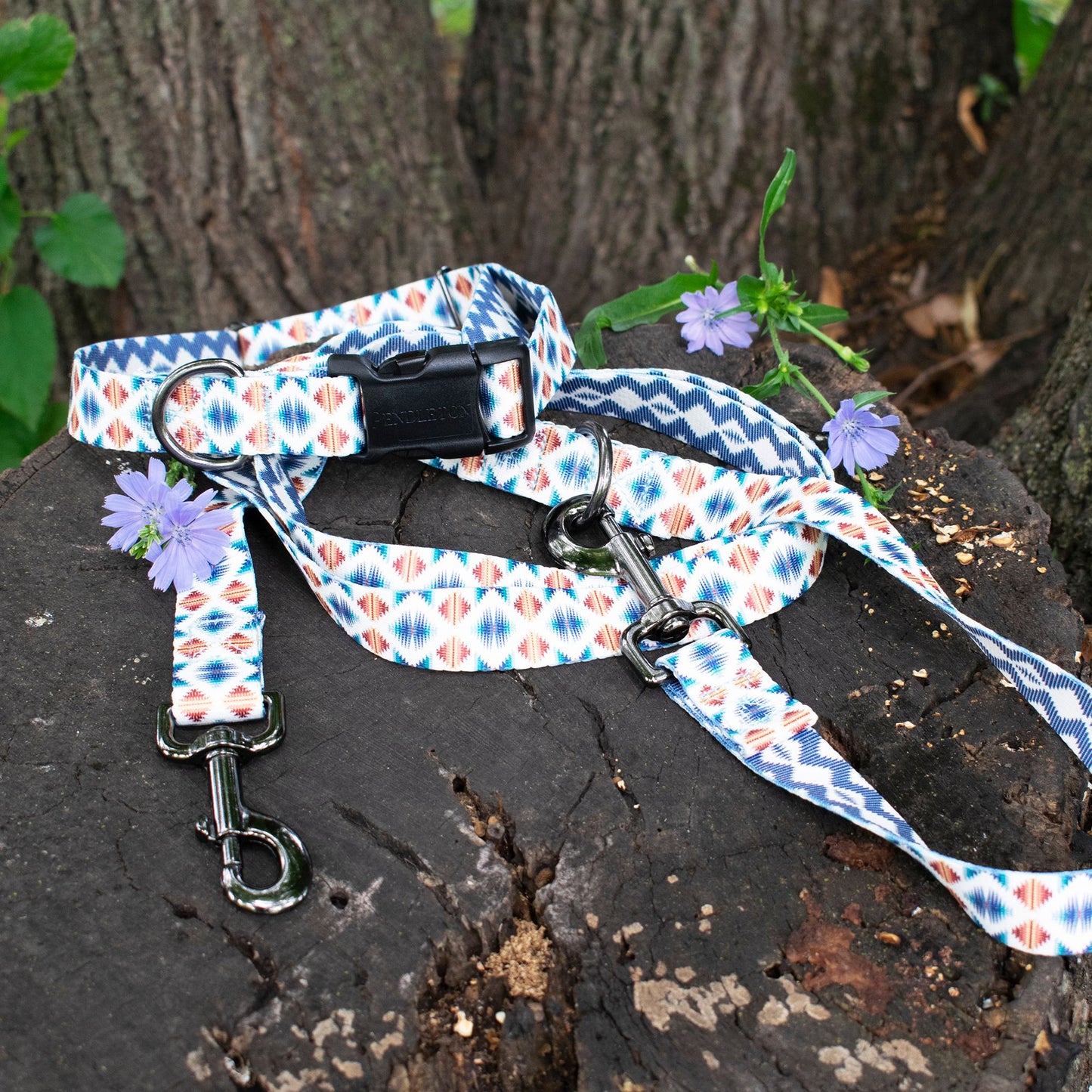 Pendleton Pet Adventure Leash - Falcon Cove