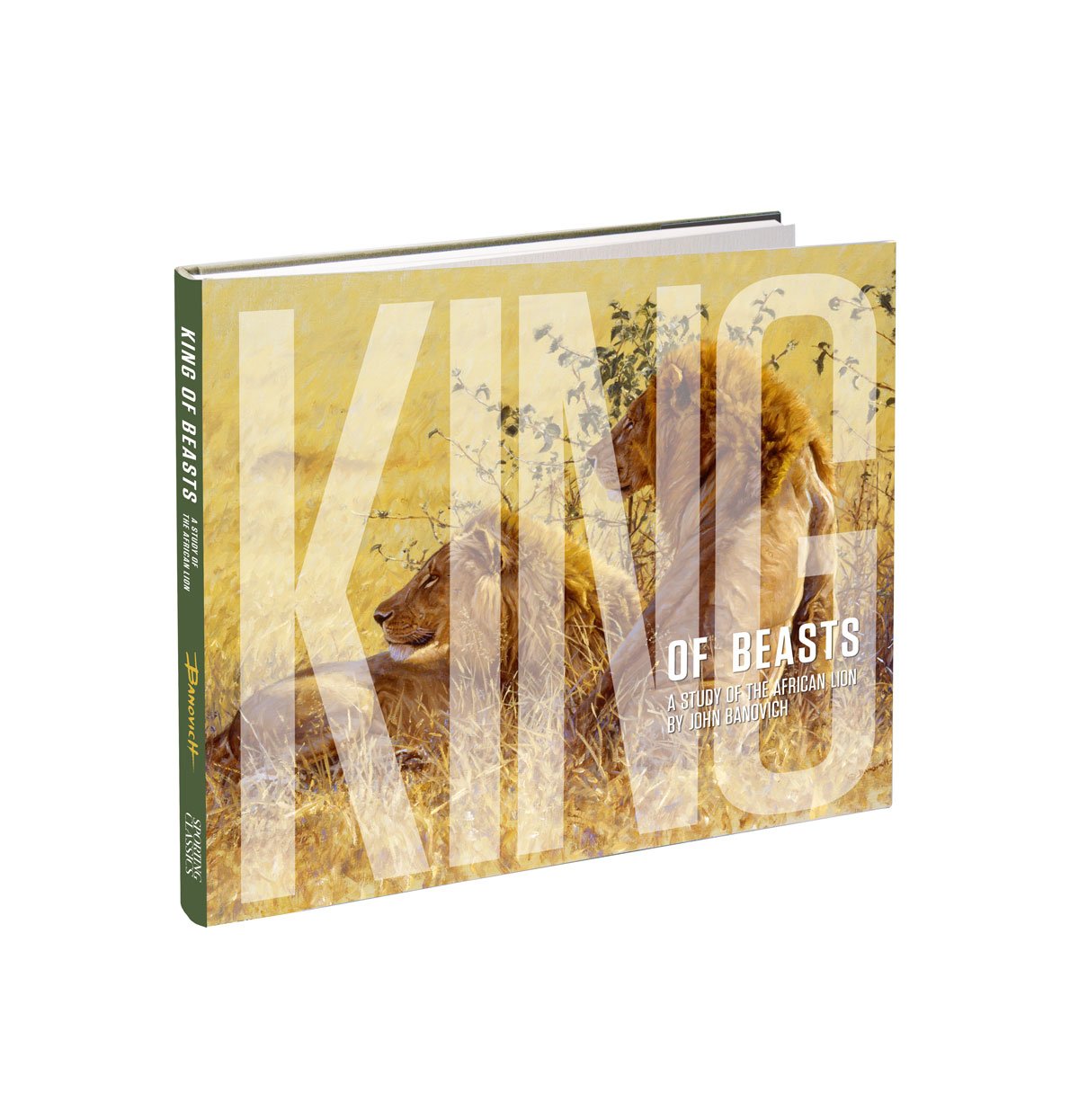 King of Beasts: A Study of the African Lion by John Banovich