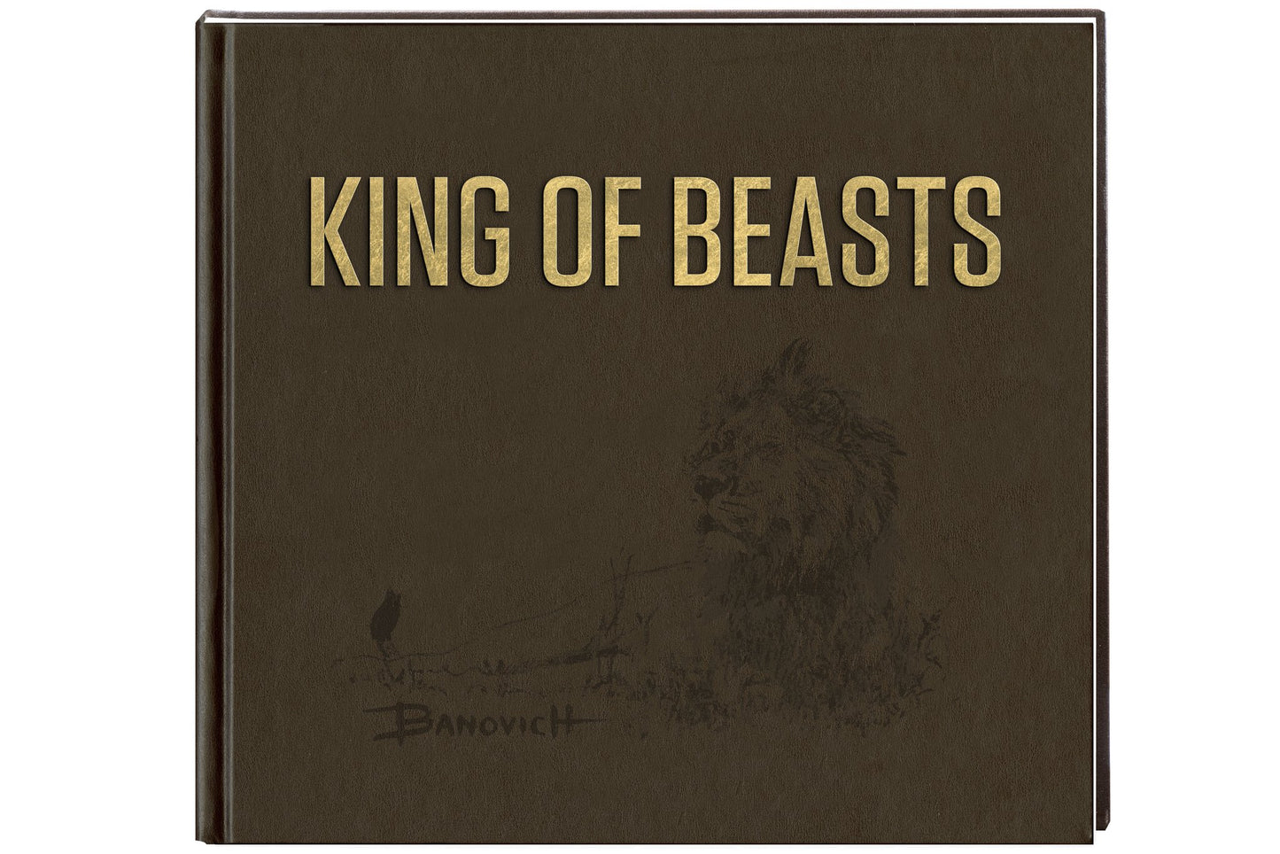 King of Beasts: A Study of the African Lion by John Banovich