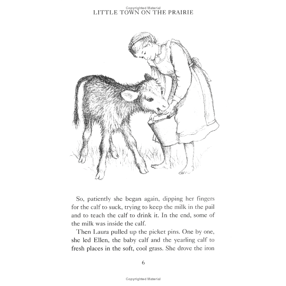 Little Town on the Prairie by Laura Ingalls Wilder (Little House Series, #7)