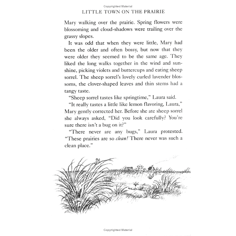 Little Town on the Prairie by Laura Ingalls Wilder (Little House Series, #7)