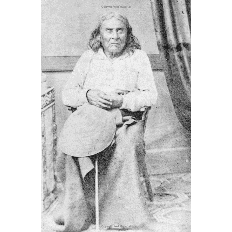 Chief Seattle and the Town That Took His Name by David Buerge