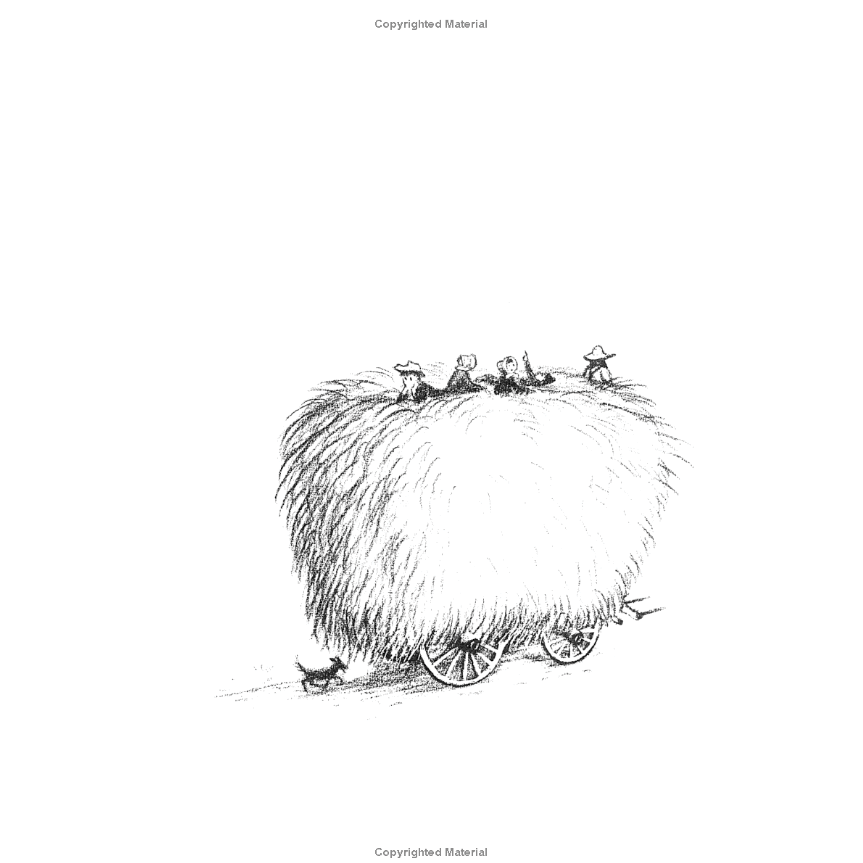 Farmer Boy by Laura Ingalls Wilder (Little House Series, #2)