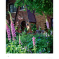 The Elegant & Edible Garden by Linda Vater