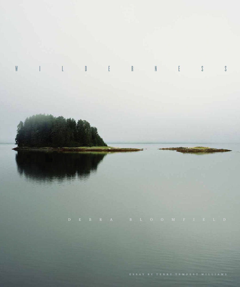 Wilderness by Debra Bloomfield
