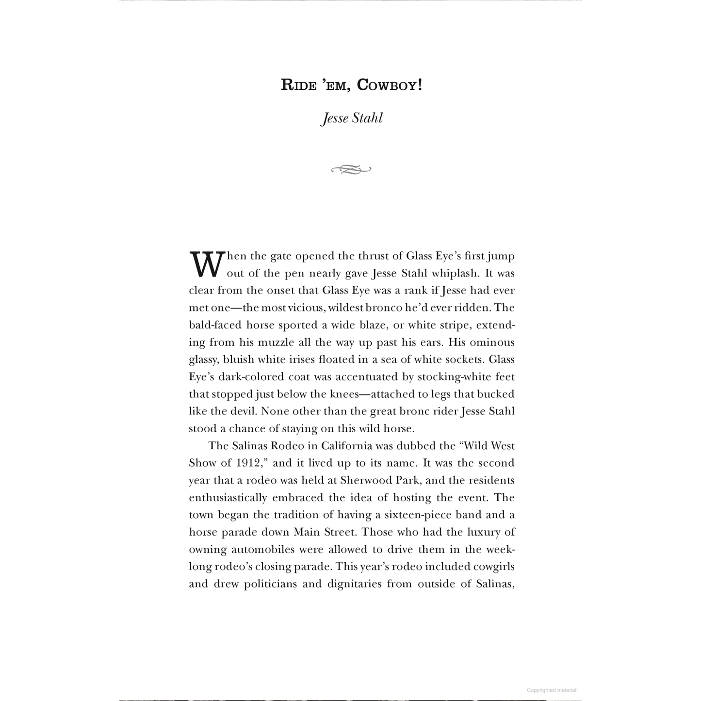 Black Cowboys of the Old West: True, Sensational, And Little-Known Stories From History by Tricia Martineau Wagner