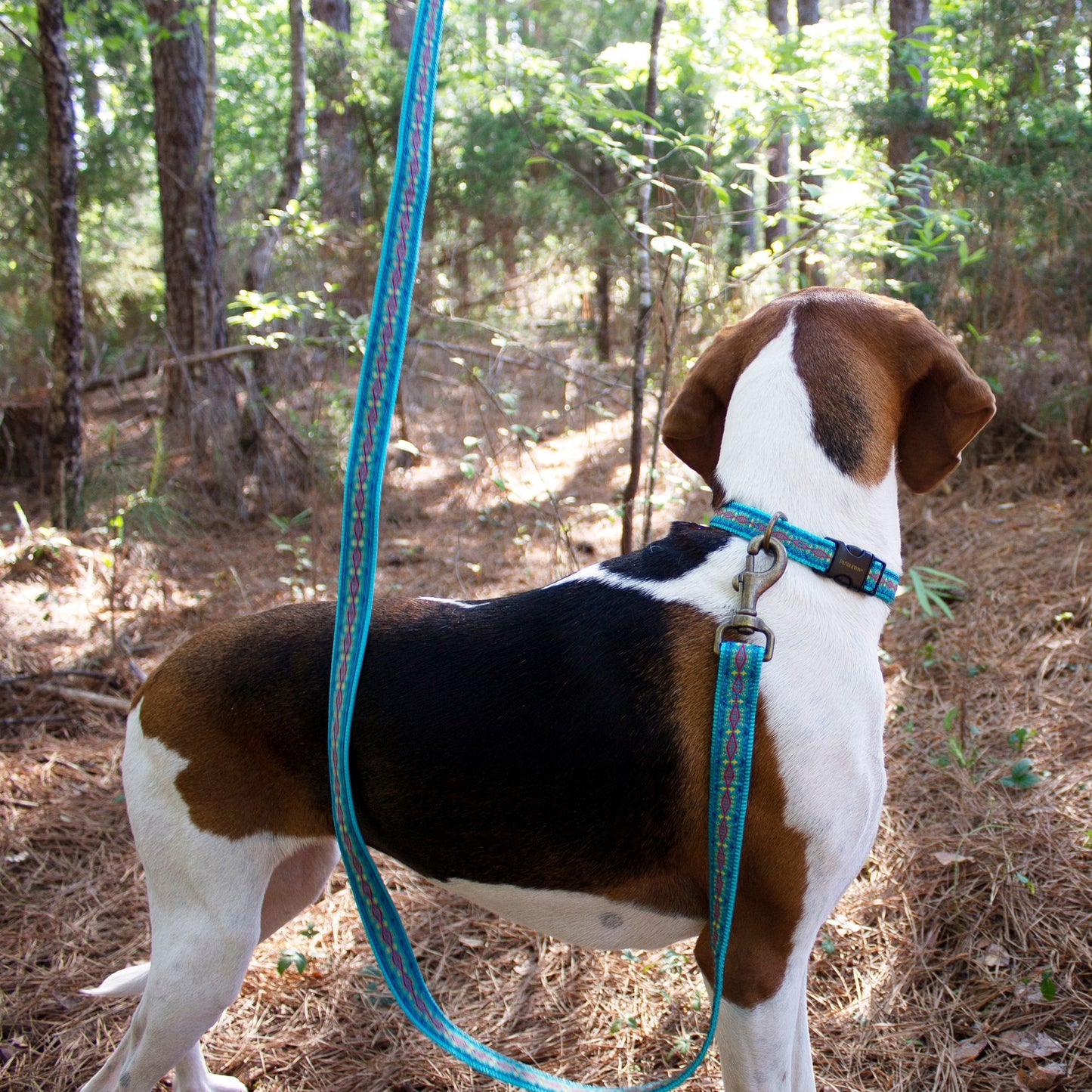 Pendleton Pet Leash - Diamond River Turquoise