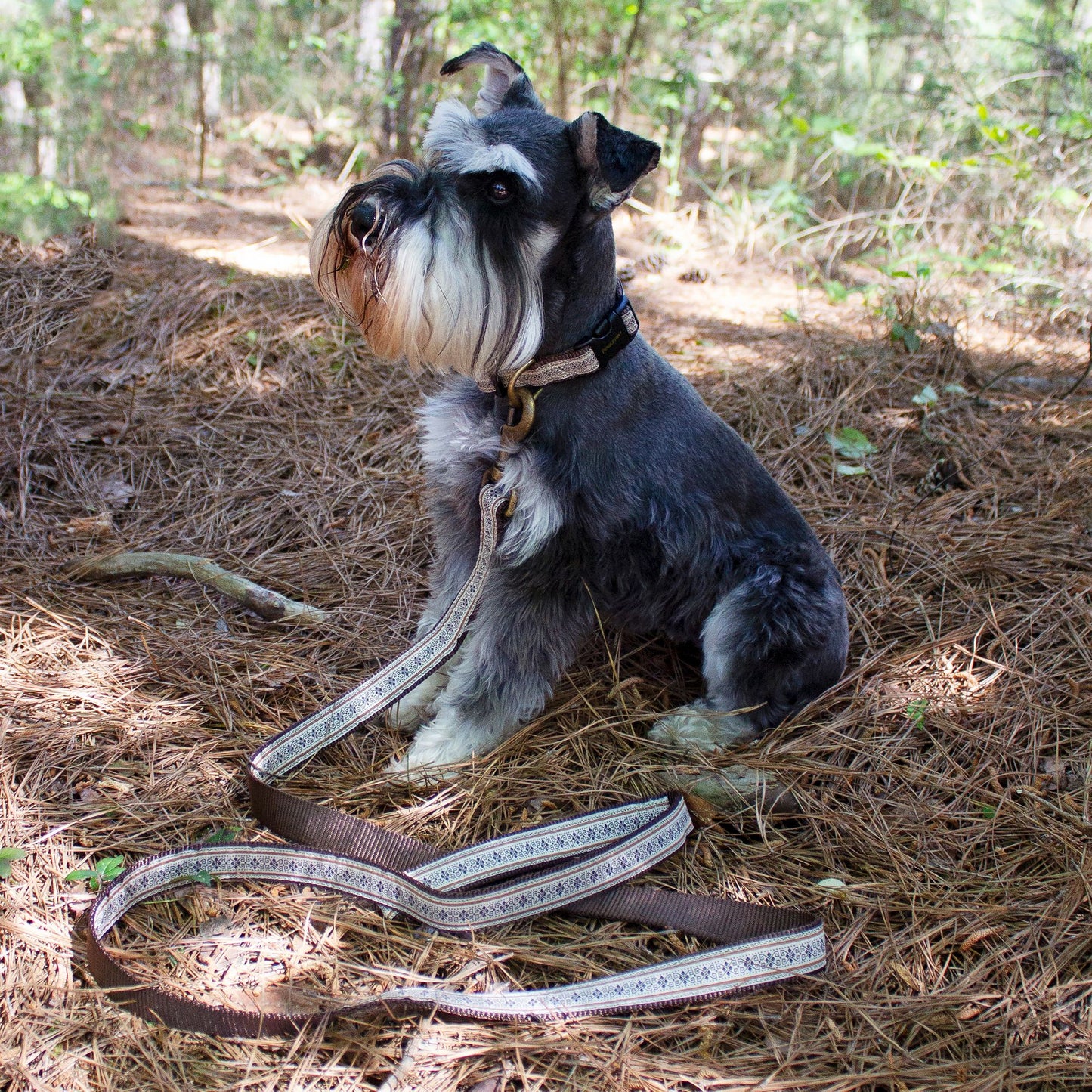 Pendleton Pet Leash - Westerley