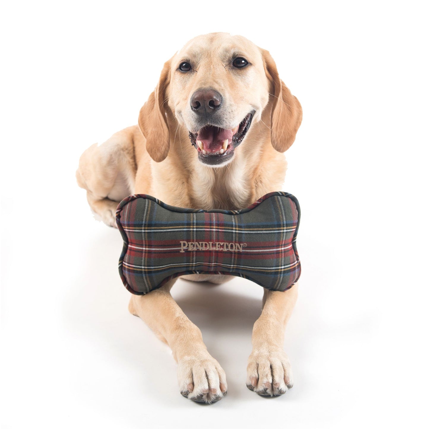 Pendleton Pet Plaid Bone Toy - Grey Stewart Tartan